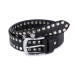 Leathershire Studded Biker Leather Belt